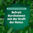 Bronchoforton Salbe - 2