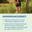 Magnesium Diasporal 100 Lutschtabletten - 4
