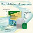 Bachbl&uuml;ten Tee Motivation&Zuversicht Bio Salus Fbt - 2