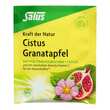 Cistus Granatapfel Tee Kraft der Natur Salus Fbeutel  - 2