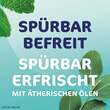 Rhinospray plus b.Schnupfen mit Feindosierer - 3