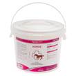 EQUOLYT Horse - 1