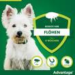 Advantage 40 L&ouml;sung f&uuml;r Hunde bis 4 kg - 3