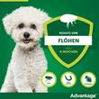 Advantage 100 L&ouml;sung f&uuml;r Hunde 4-10 kg - 3