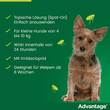 Advantage 100 L&ouml;sung f&uuml;r Hunde 4-10 kg - 4
