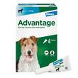 Advantage 100 L&ouml;sung f&uuml;r Hunde 4-10 kg - 7