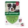 Advantage 250 L&ouml;sung f&uuml;r Hunde 10-25 kg - 1