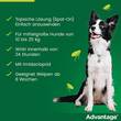 Advantage 250 L&ouml;sung f&uuml;r Hunde 10-25 kg - 4