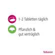 Tebonin intens 120 mg Filmtabletten - 4