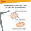 Zell Oxygen plus fl&uuml;ssig - 4