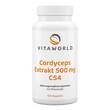 Cordyceps Extrakt 500 mg Kapseln - 1