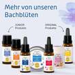 Bachbl&uuml;ten Murnauers Schlaf Gut Tropfen - 4