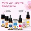 Bachbl&uuml;ten Murnauers Bleib gelassen Kaugummi - 4