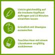 Linicin Lotion 15 Min. ohne L&auml;usekamm - 5
