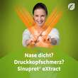 Sinupret extract &uuml;berzogene Tabletten - 2
