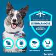 Seresto 4,50g + 2,03g Halsband f&uuml;r Hunde ab 8kg - 4
