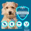 Seresto 1,25g + 0,56g Halsband f&uuml;r Hunde bis 8kg - 4
