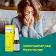 Imidin N Nasenspray - 2