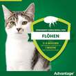 Advantage 40 mg L&ouml;sung f&uuml;r kl.Katzen / kl.Zierkaninchen - 3