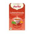 Yogi Tea Lebensfreude Bio Filterbeutel - 1