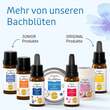 BACHBL&Uuml;TEN Murnauers Du schaffst das Bonbons - 4