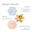 Allpresan Fu&szlig; spezial Nr.1 empfindliche Haut Scha. - 5