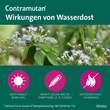Contramutan Tabletten - 4