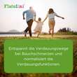 Flatulini Globuli - 3