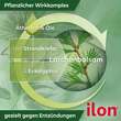 Ilon Salbe classic - 5