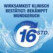 CB12 Mund Sp&uuml;ll&ouml;sung - 2