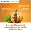 Granu Fink Prosta plus Sabal Hartkapseln - 4