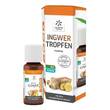 Ingwer Ginjer forte Tropfen - 1
