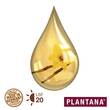 Plantana Lippen-Balsam - 3