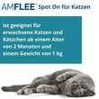 Amflee 50 mg Spot-on L&ouml;sung z.Auftropfen f&uuml;r Katzen - 3