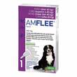 Amflee 402 mg Spot-on L&ouml;sung f&uuml;r sehr gr&ouml;&szlig;e Hunde 40-60kg - 1