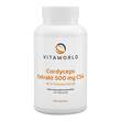 Cordyceps Extrakt 500 mg CS4 40% Polysacchar.Kapseln  - 1