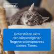 Traumeel LT ad us.vet.Ampullen - 3