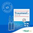 Traumeel LT ad us.vet.Ampullen - 7
