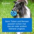 Traumeel LT ad us.vet.Ampullen - 2