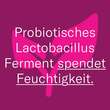 Leti SR Probio Clean H2O Reinigungswasser - 7