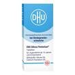 Dhu Silicea Pentarkan f&uuml;r das Bindegewebe Tabletten  - 2