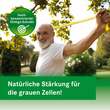 Ginkgovital Heumann 240 mg Filmtabletten - 2
