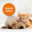 Ardap Flohspray zur Anwendung am Tier - 3