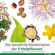 Dystologes Tabletten - 5