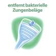 Meridol sicherer Atem Zungenreiniger extra flach - 2
