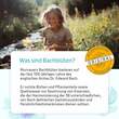 Bachbl&uuml;ten Murnauers Kinder Kopf hoch Globulini - 3