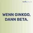 Gingobeta 80 mg Filmtabletten - 8