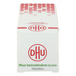 Rhus Toxicodendronicodendron D 6 Tabletten bei rheumat.Schmerzen - 4