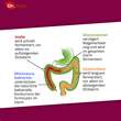 Probiocolon Gewichtsreduktion Dr.Wolz Pulver - 3