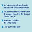 Sinolpan forte 200 mg magensaftresistent Weichkapseln - 3